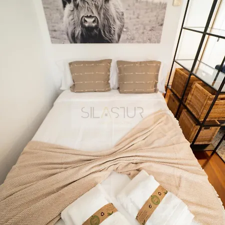 Begona By Silastur
