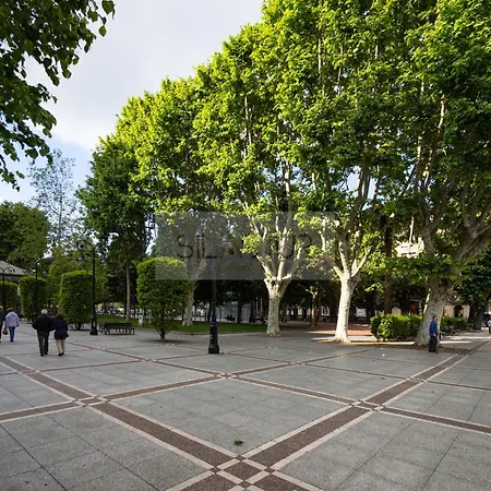 Begona By Silastur * Χιχόν