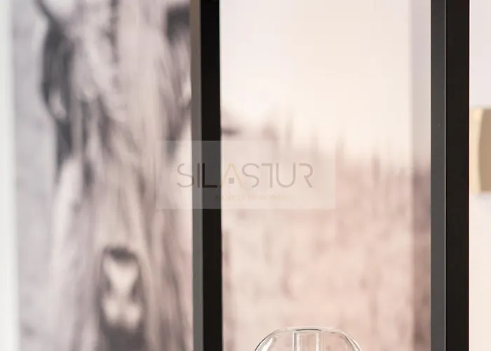 Begona By Silastur * Χιχόν