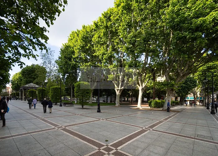 Begona By Silastur * Χιχόν